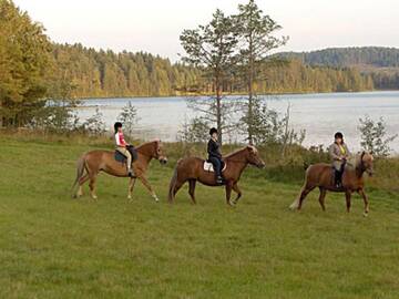 Фото номера Дом для отпуска Дома для отпуска Holiday Home Taimisto г. Juhanala 29